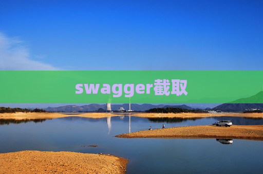 swagger截取